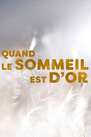 Quand le sommeil est d'or's poster