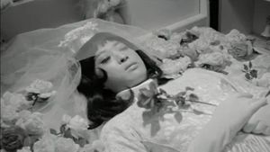 Funeral Parade of Roses's poster