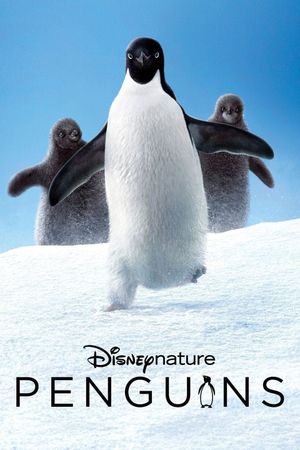 Penguins's poster