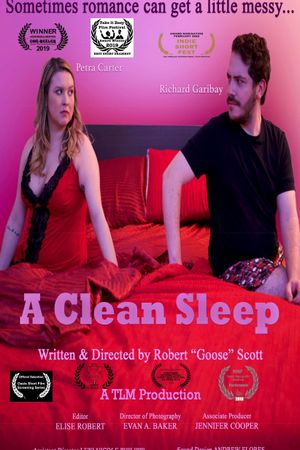 A Clean Sleep's poster