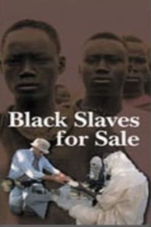 Black Slaves for Sale's poster