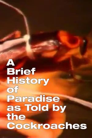A Brief History of Paradise as Told by the Cockroaches's poster