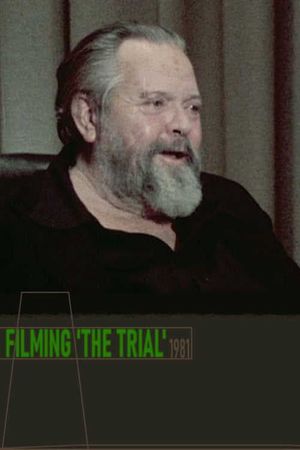 Filming 'the Trial''s poster