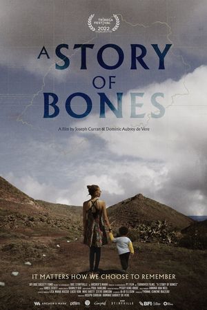 A Story of Bones's poster