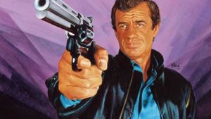 The Professional's poster