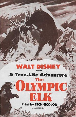 The Olympic Elk's poster
