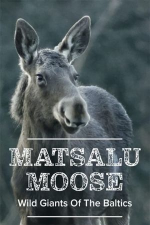 Matsalu Moose: Wild Giants of the Baltics's poster