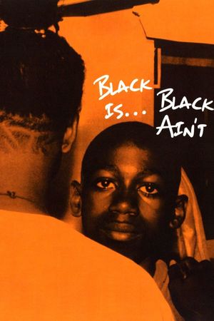 Black Is... Black Ain't's poster