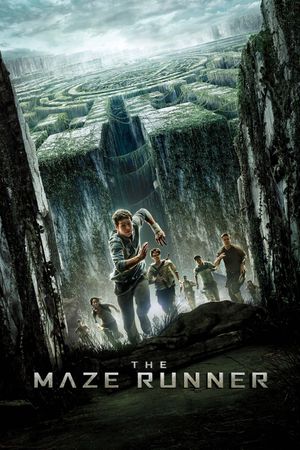 The Maze Runner's poster
