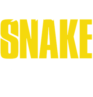 Black Snake: The Legend of Black Snake's poster