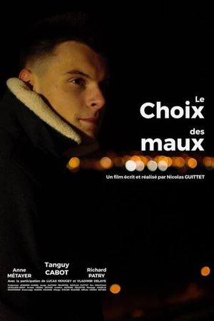 Le choix des maux's poster image