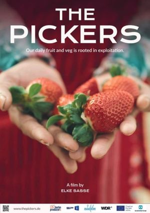 The Pickers's poster