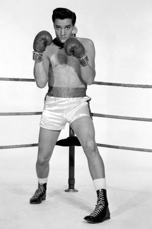 Kid Galahad's poster