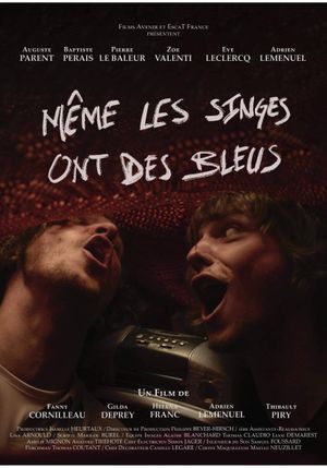 Même les singes ont des bleus's poster