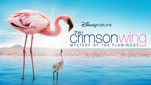 The Crimson Wing: Mystery of the Flamingos's poster