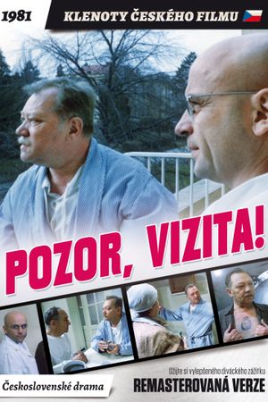 Pozor, vizita!'s poster