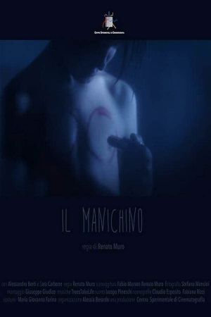 The Mannequin's poster