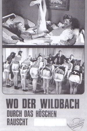 Wo der Wildbach durch das Höschen rauscht - Witwen-Report's poster