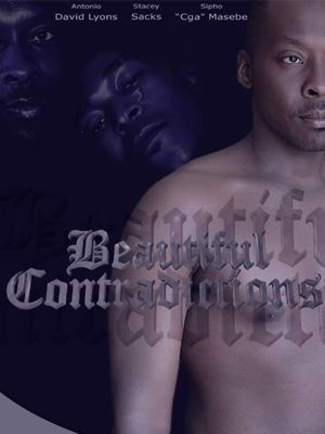 Beautiful Contradictions's poster