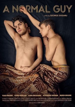 A Normal Guy's poster
