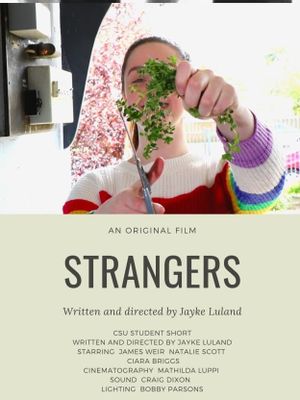 Strangers's poster