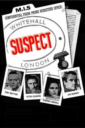 The Risk's poster