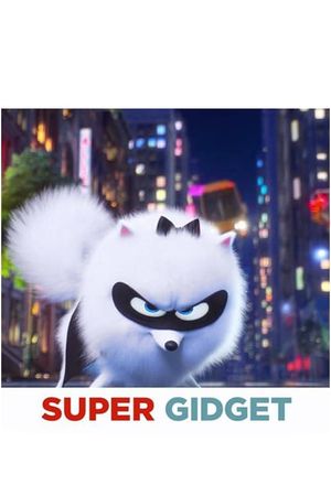Super Gidget's poster