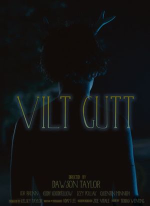 Vilt Gutt's poster