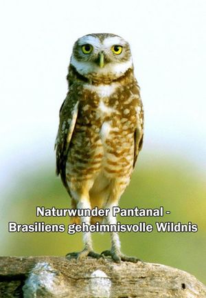 Naturwunder Pantanal - Brasiliens geheimnisvolle Wildnis's poster