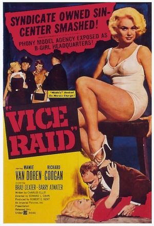 Vice Raid's poster
