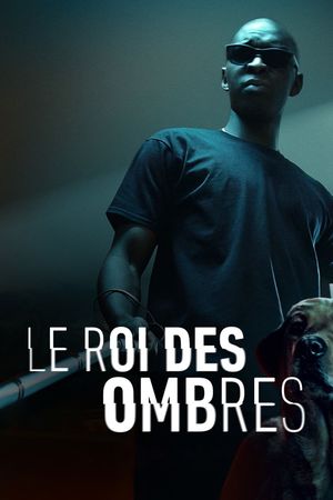 In His Shadow's poster