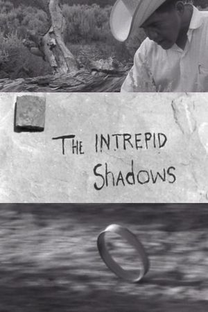 Intrepid Shadows's poster