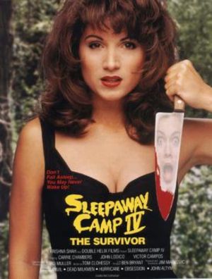 Sleepaway Camp IV: The Survivor's poster