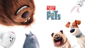 The Secret Life of Pets's poster