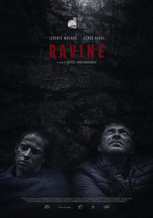 Ravine's poster