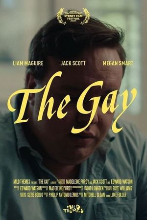 The Gay's poster