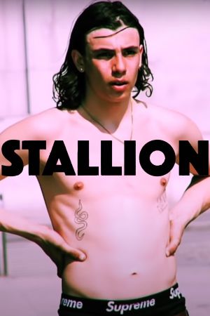 STALLION's poster