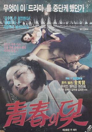 The Trappings of Youth's poster