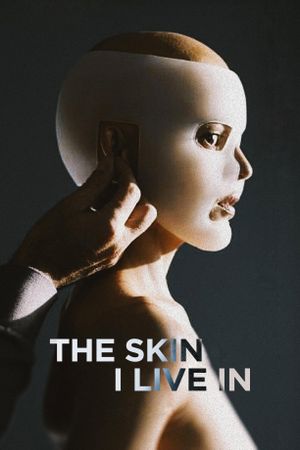 The Skin I Live In's poster