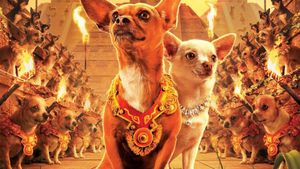 Beverly Hills Chihuahua's poster