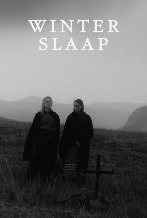 Hibernation's poster