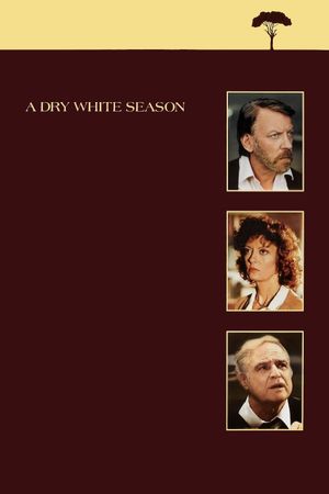 A Dry White Season's poster