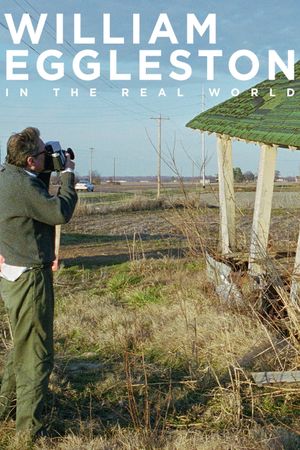 William Eggleston in the Real World's poster