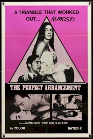 The Perfect Arrangement's poster
