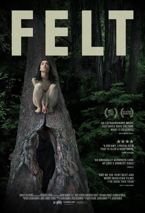 Felt's poster