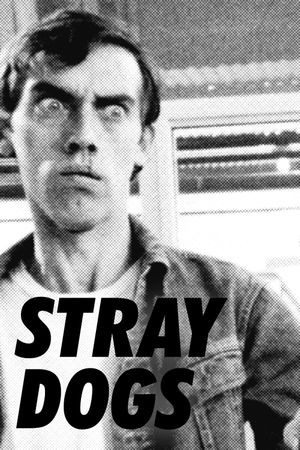 Stray Dogs's poster image