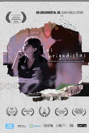 The Volunteers's poster