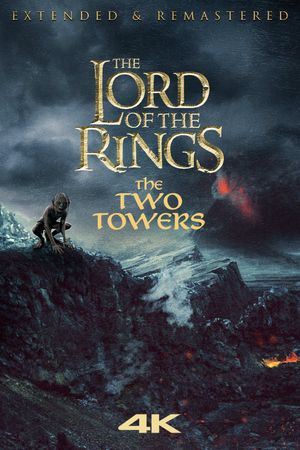 The Lord of the Rings: The Two Towers's poster