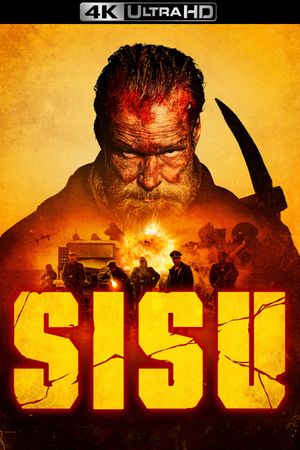 Sisu's poster