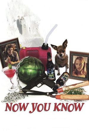 Now You Know's poster image